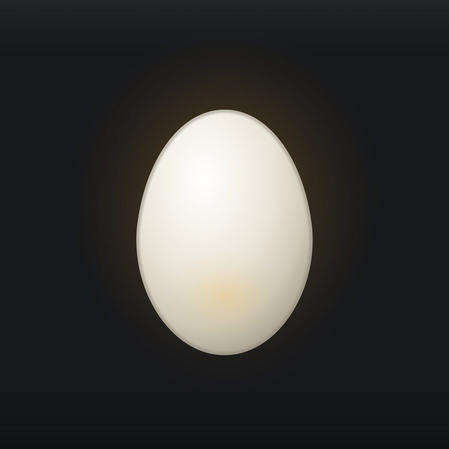 A plain porcelain-white egg with a faint warm glow.
